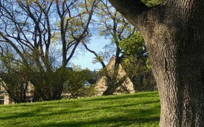 Vill du följa med på promenad i sommar?