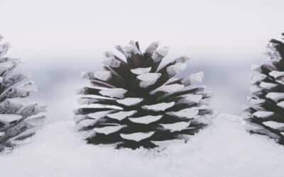 Öppettider och aktiviteter under mellandagarna 2023-2024